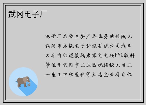 武冈电子厂